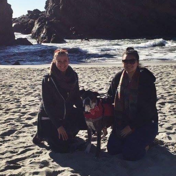 Bookmark My Closet  🌺 - Picture 3 of 8